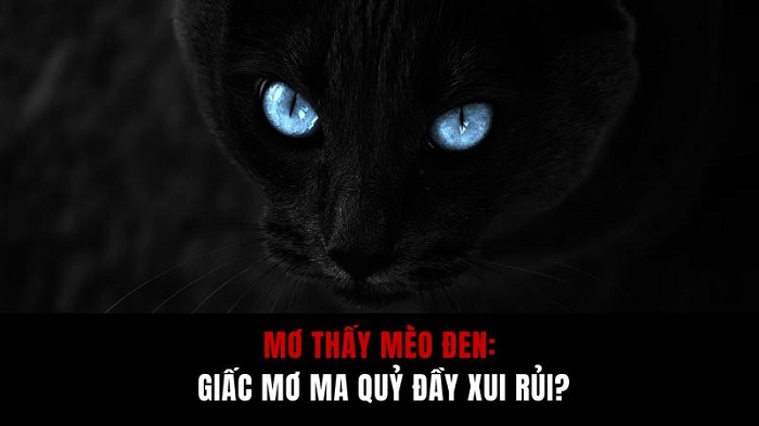 Ý nghĩa giấc mơ thấy mèo đen