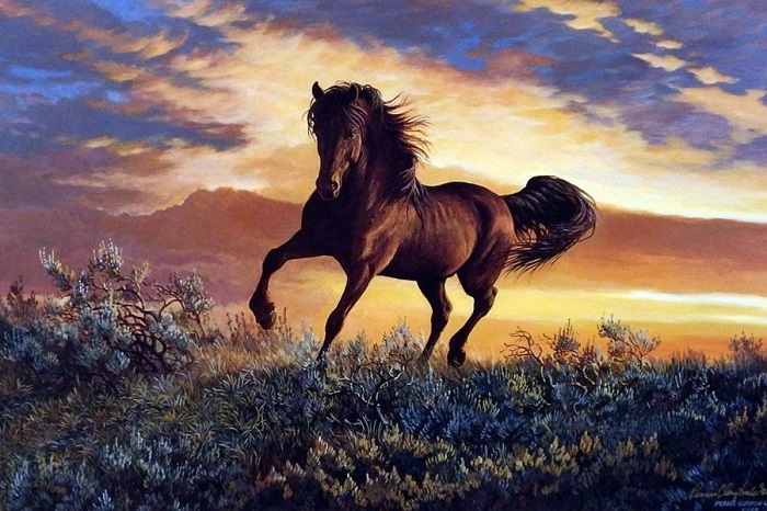 Mơ thấy ngựa là điềm gì?